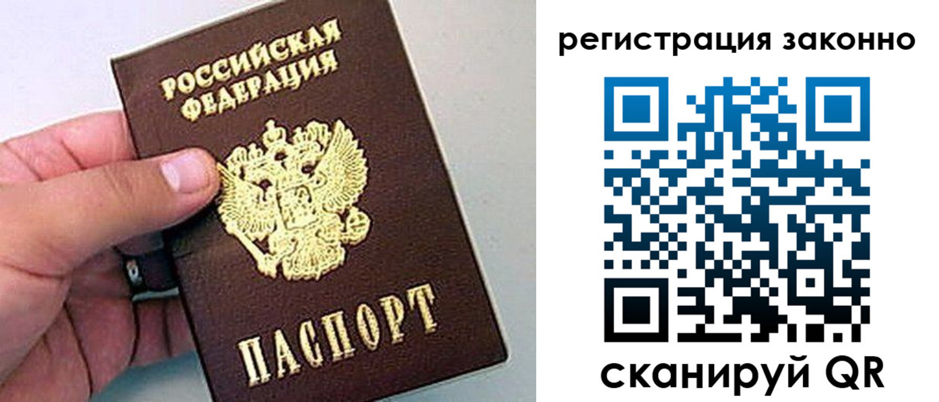 временная регистрация поиск в Королёве